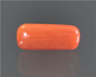 Natural Coral  8.47RTS-27494